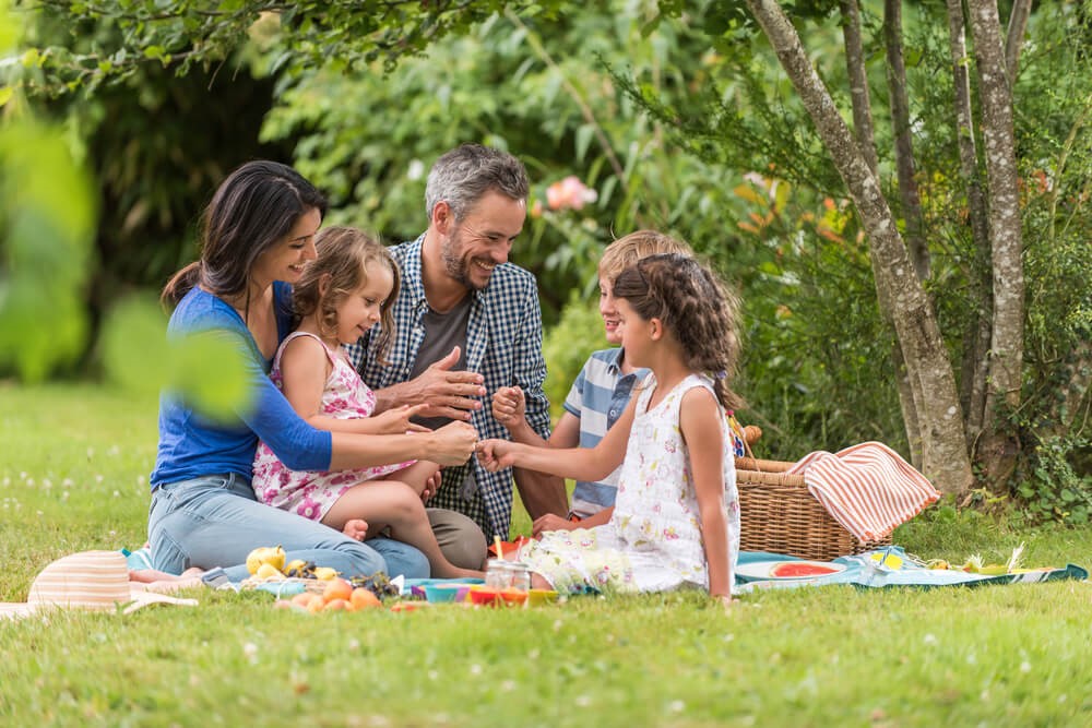 Soak in the Sunshine with a Picnic in the Park