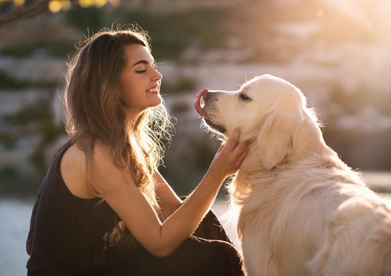 Pet-Friendly Hotels in NH | Visiting Laconia with Your Dog